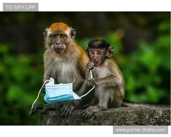 国际反兴奋剂机构新增基因编辑检测条款